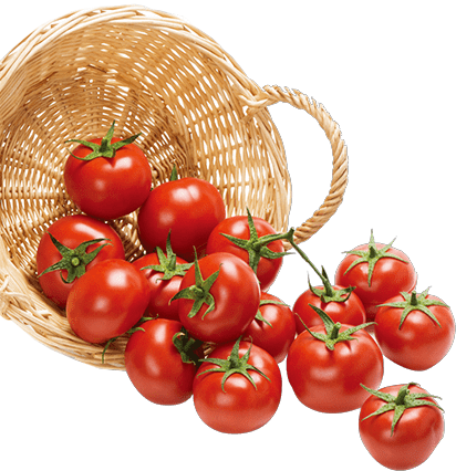 tomatoes